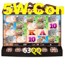 63QQ